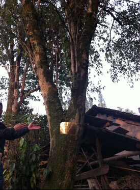 ����70����g�Ĵ��۶��٘���