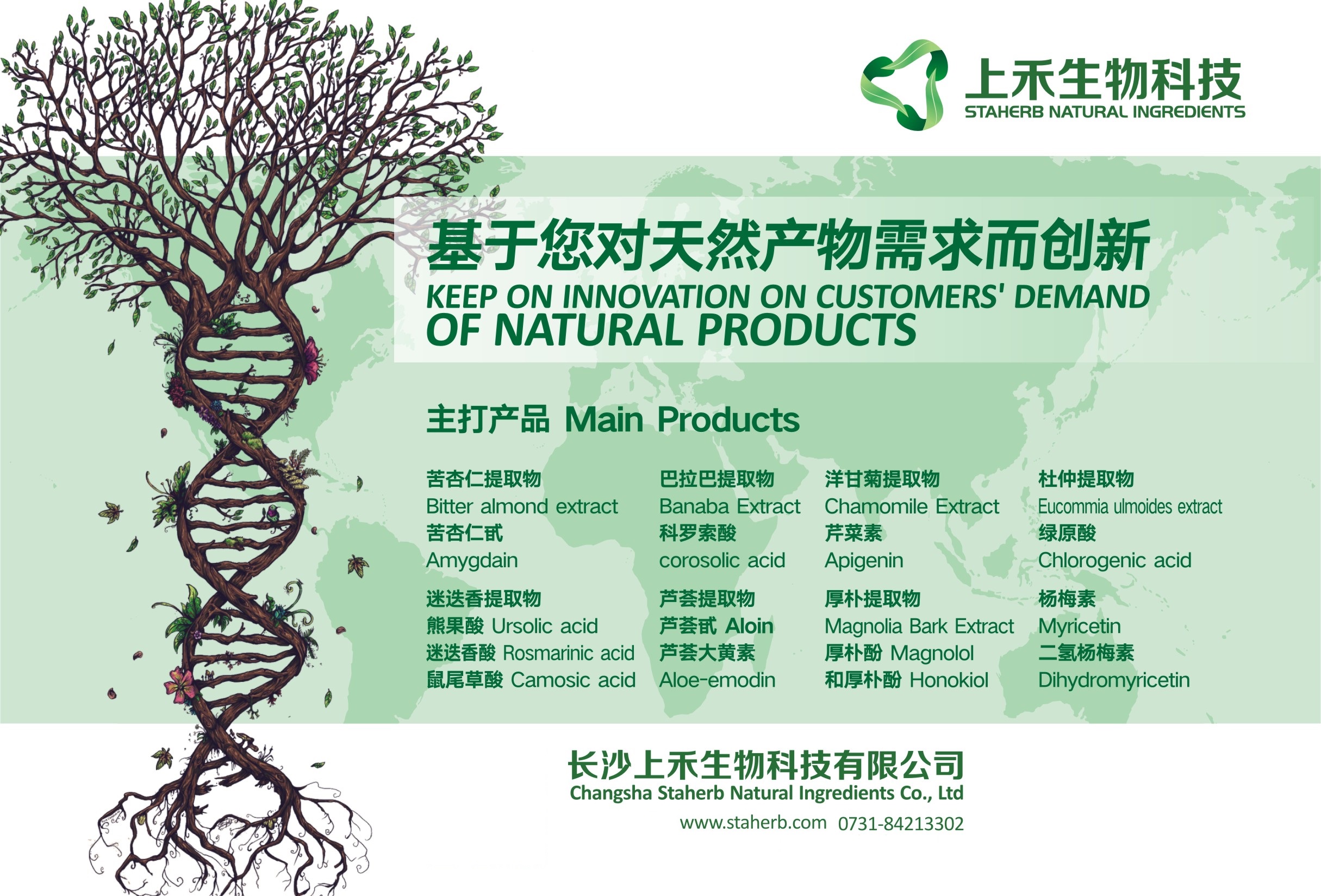 近年來隨著消費者對“天然健康”理念的日益重視,我國植提行業(yè)也煥發(fā)出勃勃生機。根據(jù)中國醫(yī)藥保健品進出口商會的統(tǒng)計數(shù)據(jù)顯示,2012年植物提取物出口額 11.64億美元,同比增長 3.11%;2013 年出口額為 14.12 億美元,同比增長 21.30%;2014 年出口額為 17.77 億美元,同比增長 25.88%;2015年提取物出口額21.63億美元,同比增長21.71%。隨著植提行業(yè)的快速發(fā)展,目前植物提取物已經(jīng)超過中藥出口額的一半,成為引領我國中藥產(chǎn)品出口的主要產(chǎn)業(yè)。 目前已經(jīng)開發(fā)的植物提取物多達上千個品種,那在這些品種中哪些是最受國外市場歡迎,出口最多的品種呢?中國醫(yī)藥保健品進出口商會公布了2015年前三個季度出口量最大的幾個植提品種。 1、甜菊提取物因為蔗糖的高熱量導致肥胖問題日趨嚴重,代糖開始取代蔗糖成為食品中甜味的主要來源。代糖分為人工合成甜味劑和天然甜味劑兩種,甜菊糖和羅漢果糖便是目前最受國際市場歡迎的兩種主要天然甜味劑。 甜菊糖是由甜葉菊的葉子中提取出來的。中國是世界上最大的甜葉菊生產(chǎn)國和出口國,生產(chǎn)的甜菊糖主要出口歐美、日本和韓國。據(jù)甜菊糖協(xié)會最近公布的數(shù)據(jù)顯示,中國出口甜菊糖數(shù)量約占國際甜菊糖市場的80%,甜菊提取物也自然而然的成為了出口量最大的植物提取物。 甜菊糖目前已廣泛的使用在食品、飲料、保健品,因為具有低熱量、高甜度、降低血糖、幫助消化的特點,無論是糖尿病患者還是老人小孩都可以放心食用。2015年全球范圍內甜菊糖食品已超過2500多種,安全性高、成本低廉,甜菊糖的未來市場還將進一步發(fā)展壯大。 2、越橘提取物越橘是一種多年生灌木,國外將其用于治療糖尿病和眼部疾病已有很長歷史。作為紫色植物,越橘中含有超過15種不同的花青素;ㄇ嗨乜捎兄诰S持毛細血管完整性和穩(wěn)定膠原質。同時還是有力的抗氧化劑。 越橘適用人群廣泛,長時間用眼的白領、經(jīng)常日曬的工人,功課繁忙的學生,免疫力欠佳的老人小孩都需要補充越橘提取物,對高血糖、高血脂、白內障、夜盲癥也有很好的防治效果。 3、桉葉油桉葉油,是一種無色油狀液體,是從桉樹油、玉樹油、樟腦油、月桂葉油等物質中提取而來,在食品領域主要用作香精。因為桉葉油具有殺菌作用,在醫(yī)藥上主要用于生產(chǎn)止咳糖漿等,還可制作含漱劑、牙膏、空氣清凈劑等。 我國桉葉油生產(chǎn)開始于1958年,目前已經(jīng)是全球最大的桉葉油生產(chǎn)和出口國之一,產(chǎn)地主要集中在云南、廣西、貴州和重慶等地。東盟、歐盟、印度、美國和澳大利亞是我國桉葉油出口的主要地區(qū)。 4、辣椒紅色素辣椒中提取的辣椒紅色素是非常重要的天然色素。辣椒紅色素色澤鮮艷、安全性高,還具有抗輻射、抗癌等功效,在食品行業(yè)應用廣泛,大量用于糕點、休閑食品、飲料等。 早年辣椒紅素出口實行0退稅制度,還追加罰款,極大地限制了出口。2014年12月31日,財政部發(fā)布《關于調整部分產(chǎn)品出口退稅率的通知》,對辣椒紅素等天然著色劑進行稅率調整,退稅率從0提高到13%。從此,辣椒紅素出口得到了穩(wěn)步發(fā)展,目前主要出口國家為印度、西班牙和日本。 5、桂油桂油是從肉桂干燥枝、葉中提取的揮發(fā)油,被廣泛應用于食品香料和醫(yī)藥,也是制作香皂和化妝品的重要原料。 桂油是近年來出口增長較快的一大品種。據(jù)資料顯示,2013年,桂油的出口額為1940.22萬美元,僅占植物提取出口1.37%的份額;而2014年就達到了7208.81萬美元,在植物提取物出口的占比也上升至4.06%。其中,出口數(shù)量的巨額增長是主要拉動因素,2014年,桂油提取物的出口量為3428.53噸,同比增長640.94%。 桂油既賦予食物香氣,又具有防腐的效果,同時還具有殺菌、抗癌、降壓作用,還是可樂不可缺少的添加劑。 這里要重點強調一下,前五種植物提取物2015年出口額均超過1億美金,在2016年也保持了較高的增長率。 6、甘草提取物甘草是一種藥用價值較大的植物,除了中藥典上記載的補脾益氣,清熱解毒,祛痰止咳的功效,還能抑制糖尿病、防治病毒性肝炎、治療老年性骨質疏松癥、抗癌、抗艾滋病病毒等作用。 除了食品、藥品上的作用,甘草在化妝品上也有很廣泛的運用。甘草可以阻止黑色素的形成,從而達到美白皮膚的效果。另外,甘草內的黃酮化合物可吸收紫外線和可見光,是一種不會刺激皮膚的純天然防曬劑。 7、萬壽菊提取物萬壽菊是提煉葉黃素及類胡蘿卜素的主要原料,是重要的天然著色劑。葉黃素的耐熱性能較好,無毒無害,加上它特殊的生理功效,符合食品添加劑“天然”、“營養(yǎng)”、“多功能”的發(fā)展方向,可與維生素、賴氨酸等常用食品添加劑一樣直接添加到食品中。 葉黃素對人的眼睛非常重要,是視網(wǎng)膜、白內障最重要的營養(yǎng)素。同時還具有抗衰老、抗氧化的功效。 8、羅漢果提取物羅漢果是一種小甜瓜,生長在中國南部和泰國北部。中國是羅漢果提取物最大的生產(chǎn)和出口國,2014年出口量達260噸,其中90%出口到美國和日本。 目前國際市場上超過一半的羅漢果糖食品都是美國生產(chǎn)的,它在美國天然甜味劑的應用范圍已經(jīng)僅次于甜菊糖。區(qū)別于甜菊糖,羅漢果糖有一種特別的風味,所以未來市場前景極大。 雖然我國植提行業(yè)發(fā)展迅速,出口量連年遞增,但是值得注意的是我國出口的植提產(chǎn)品大多都是比較廉價、含量較低的低純度提取物,而國外企業(yè)進口后利用這些原料去生產(chǎn)高純度產(chǎn)品應用到食品領域,從而獲取高額利潤。 未來我國植提行業(yè)應在提純技術上進行更深入的研究和應用,才能使我國植提產(chǎn)業(yè)結構升級,獲取更大的利潤值。 近年來隨著消費者對“天然健康”理念的日益重視,我國植提行業(yè)也煥發(fā)出勃勃生機。根據(jù)中國醫(yī)藥保健品進出口商會的統(tǒng)計數(shù)據(jù)顯示,2012年植物提取物出口額 11.64億美元,同比增長 3.11%;2013 年出口額為 14.12 億美元,同比增長 21.30%;2014 年出口額為 17.77 億美元,同比增長 25.88%;2015年提取物出口額21.63億美元,同比增長21.71%。隨著植提行業(yè)的快速發(fā)展,目前植物提取物已經(jīng)超過中藥出口額的一半,成為引領我國中藥產(chǎn)品出口的主要產(chǎn)業(yè)。 目前已經(jīng)開發(fā)的植物提取物多達上千個品種,那在這些品種中哪些是最受國外市場歡迎,出口最多的品種呢?中國醫(yī)藥保健品進出口商會公布了2015年前三個季度出口量最大的幾個植提品種。 1、甜菊提取物因為蔗糖的高熱量導致肥胖問題日趨嚴重,代糖開始取代蔗糖成為食品中甜味的主要來源。代糖分為人工合成甜味劑和天然甜味劑兩種,甜菊糖和羅漢果糖便是目前最受國際市場歡迎的兩種主要天然甜味劑。 甜菊糖是由甜葉菊的葉子中提取出來的。中國是世界上最大的甜葉菊生產(chǎn)國和出口國,生產(chǎn)的甜菊糖主要出口歐美、日本和韓國。據(jù)甜菊糖協(xié)會最近公布的數(shù)據(jù)顯示,中國出口甜菊糖數(shù)量約占國際甜菊糖市場的80%,甜菊提取物也自然而然的成為了出口量最大的植物提取物。 甜菊糖目前已廣泛的使用在食品、飲料、保健品,因為具有低熱量、高甜度、降低血糖、幫助消化的特點,無論是糖尿病患者還是老人小孩都可以放心食用。2015年全球范圍內甜菊糖食品已超過2500多種,安全性高、成本低廉,甜菊糖的未來市場還將進一步發(fā)展壯大。 2、越橘提取物越橘是一種多年生灌木,國外將其用于治療糖尿病和眼部疾病已有很長歷史。作為紫色植物,越橘中含有超過15種不同的花青素;ㄇ嗨乜捎兄诰S持毛細血管完整性和穩(wěn)定膠原質。同時還是有力的抗氧化劑。 越橘適用人群廣泛,長時間用眼的白領、經(jīng)常日曬的工人,功課繁忙的學生,免疫力欠佳的老人小孩都需要補充越橘提取物,對高血糖、高血脂、白內障、夜盲癥也有很好的防治效果。 3、桉葉油桉葉油,是一種無色油狀液體,是從桉樹油、玉樹油、樟腦油、月桂葉油等物質中提取而來,在食品領域主要用作香精。因為桉葉油具有殺菌作用,在醫(yī)藥上主要用于生產(chǎn)止咳糖漿等,還可制作含漱劑、牙膏、空氣清凈劑等。 我國桉葉油生產(chǎn)開始于1958年,目前已經(jīng)是全球最大的桉葉油生產(chǎn)和出口國之一,產(chǎn)地主要集中在云南、廣西、貴州和重慶等地。東盟、歐盟、印度、美國和澳大利亞是我國桉葉油出口的主要地區(qū)。 4、辣椒紅色素辣椒中提取的辣椒紅色素是非常重要的天然色素。辣椒紅色素色澤鮮艷、安全性高,還具有抗輻射、抗癌等功效,在食品行業(yè)應用廣泛,大量用于糕點、休閑食品、飲料等。 早年辣椒紅素出口實行0退稅制度,還追加罰款,極大地限制了出口。2014年12月31日,財政部發(fā)布《關于調整部分產(chǎn)品出口退稅率的通知》,對辣椒紅素等天然著色劑進行稅率調整,退稅率從0提高到13%。從此,辣椒紅素出口得到了穩(wěn)步發(fā)展,目前主要出口國家為印度、西班牙和日本。 5、桂油桂油是從肉桂干燥枝、葉中提取的揮發(fā)油,被廣泛應用于食品香料和醫(yī)藥,也是制作香皂和化妝品的重要原料。 桂油是近年來出口增長較快的一大品種。據(jù)資料顯示,2013年,桂油的出口額為1940.22萬美元,僅占植物提取出口1.37%的份額;而2014年就達到了7208.81萬美元,在植物提取物出口的占比也上升至4.06%。其中,出口數(shù)量的巨額增長是主要拉動因素,2014年,桂油提取物的出口量為3428.53噸,同比增長640.94%。 桂油既賦予食物香氣,又具有防腐的效果,同時還具有殺菌、抗癌、降壓作用,還是可樂不可缺少的添加劑。 這里要重點強調一下,前五種植物提取物2015年出口額均超過1億美金,在2016年也保持了較高的增長率。 6、甘草提取物甘草是一種藥用價值較大的植物,除了中藥典上記載的補脾益氣,清熱解毒,祛痰止咳的功效,還能抑制糖尿病、防治病毒性肝炎、治療老年性骨質疏松癥、抗癌、抗艾滋病病毒等作用。 除了食品、藥品上的作用,甘草在化妝品上也有很廣泛的運用。甘草可以阻止黑色素的形成,從而達到美白皮膚的效果。另外,甘草內的黃酮化合物可吸收紫外線和可見光,是一種不會刺激皮膚的純天然防曬劑。 7、萬壽菊提取物萬壽菊是提煉葉黃素及類胡蘿卜素的主要原料,是重要的天然著色劑。葉黃素的耐熱性能較好,無毒無害,加上它特殊的生理功效,符合食品添加劑“天然”、“營養(yǎng)”、“多功能”的發(fā)展方向,可與維生素、賴氨酸等常用食品添加劑一樣直接添加到食品中。 葉黃素對人的眼睛非常重要,是視網(wǎng)膜、白內障最重要的營養(yǎng)素。同時還具有抗衰老、抗氧化的功效。 8、羅漢果提取物羅漢果是一種小甜瓜,生長在中國南部和泰國北部。中國是羅漢果提取物最大的生產(chǎn)和出口國,2014年出口量達260噸,其中90%出口到美國和日本。 目前國際市場上超過一半的羅漢果糖食品都是美國生產(chǎn)的,它在美國天然甜味劑的應用范圍已經(jīng)僅次于甜菊糖。區(qū)別于甜菊糖,羅漢果糖有一種特別的風味,所以未來市場前景極大。 雖然我國植提行業(yè)發(fā)展迅速,出口量連年遞增,但是值得注意的是我國出口的植提產(chǎn)品大多都是比較廉價、含量較低的低純度提取物,而國外企業(yè)進口后利用這些原料去生產(chǎn)高純度產(chǎn)品應用到食品領域,從而獲取高額利潤。 未來我國植提行業(yè)應在提純技術上進行更深入的研究和應用,才能使我國植提產(chǎn)業(yè)結構升級,獲取更大的利潤值。