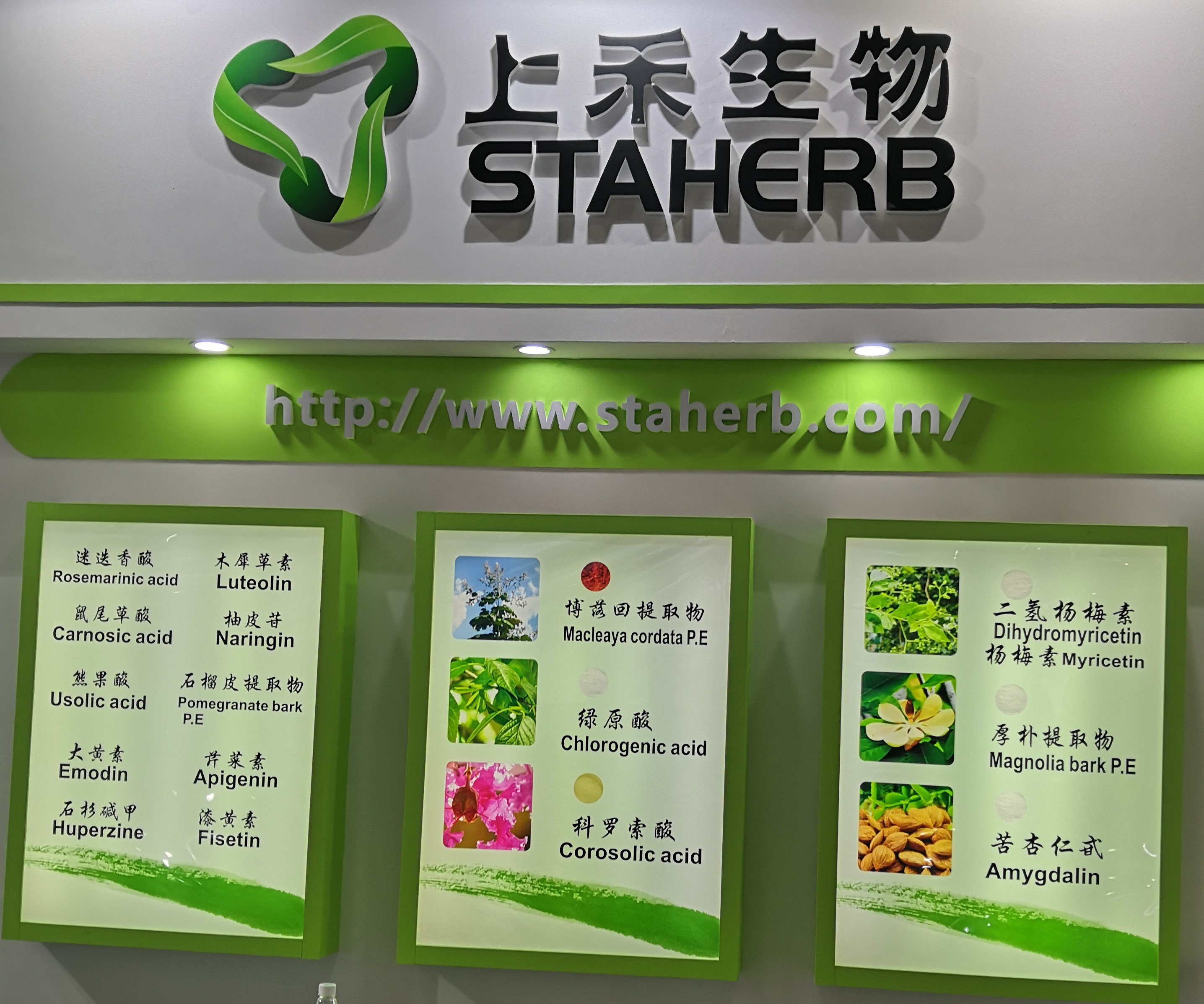 博落回提取物 博落回提取物